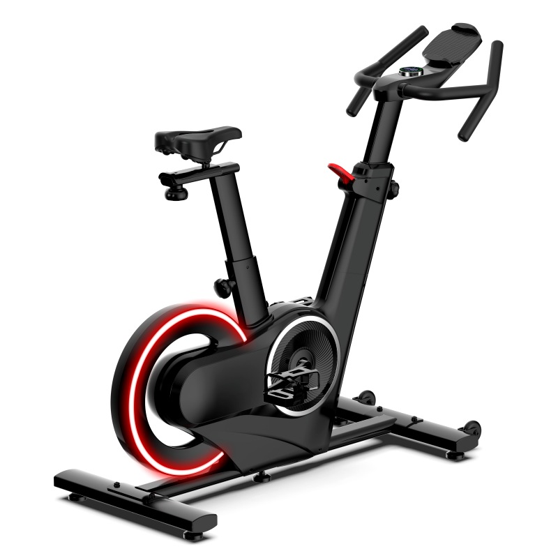 Spinning Bike Indoor Exercise Bike Home Gym-John Power 102