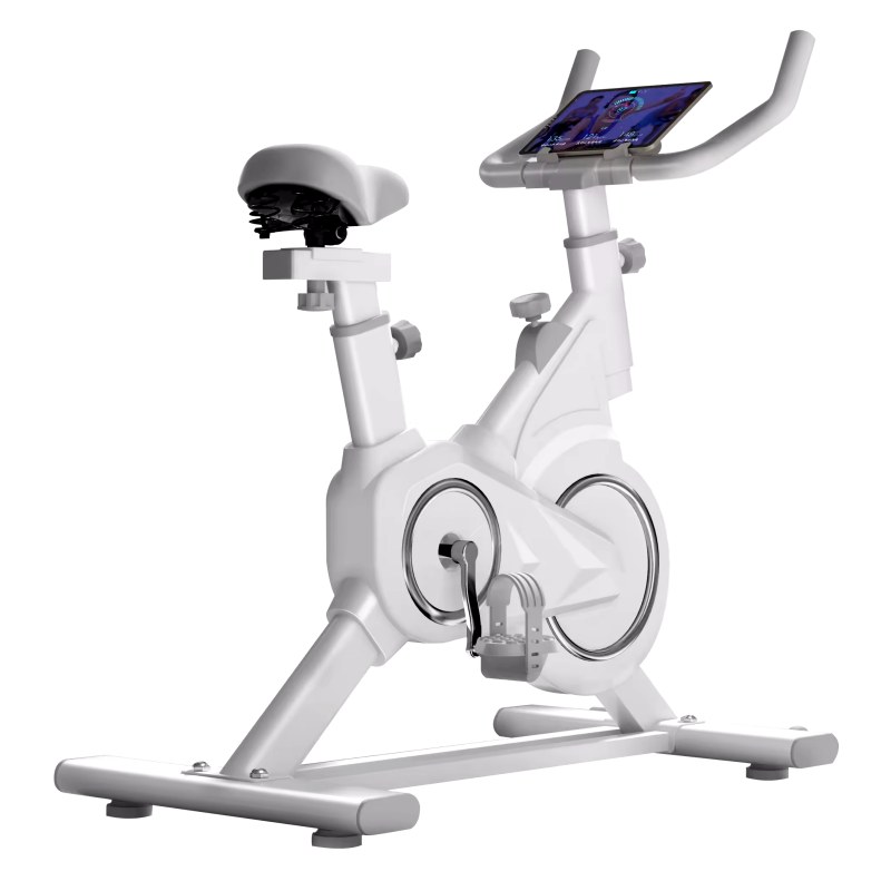 Indoor Static Bicycle Exercise Spin Bikes Fitness Training 4kg Flywheel Spinning Bike