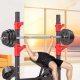 Most Popular Fitness Equipment in the Gym - Barbells and Weight Plates